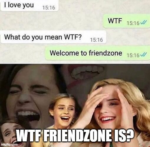 wtf friendzone is meme