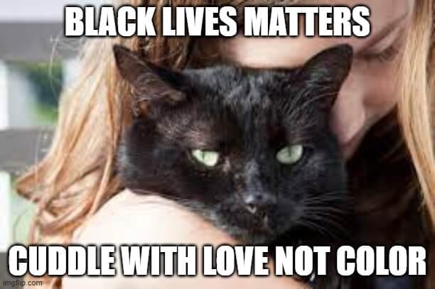 black lives matters cuddle memes