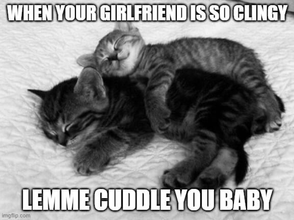 clingy girlfriends cuddle memes