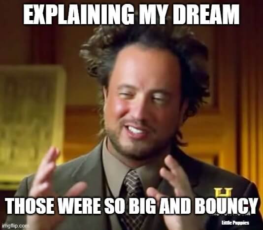 explaining my dream in dirty way meme