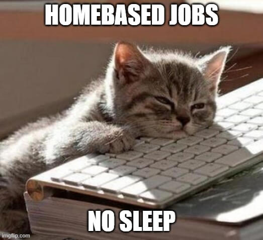 homebased job no sleep meme