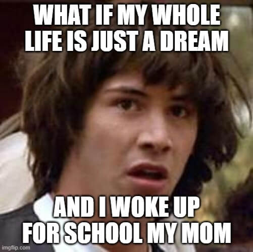 my whole life is a dream meme