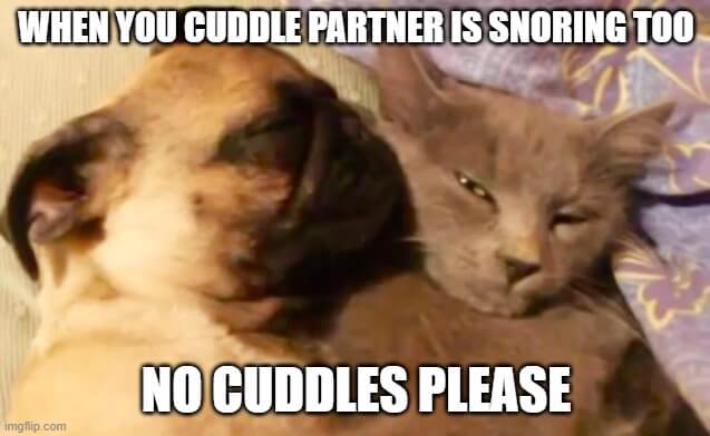 no cuddle please meme