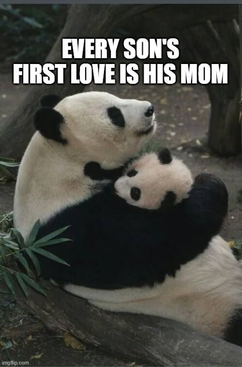 son loves mom cuddle meme