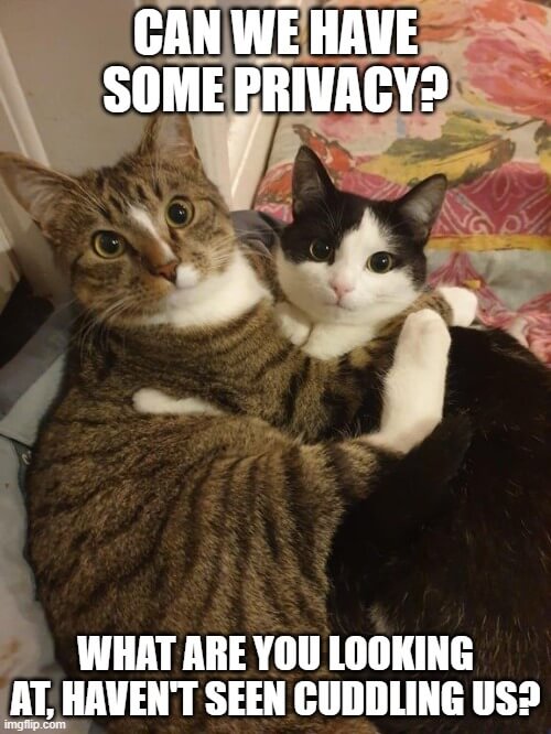 we want privacy while cuddling meme