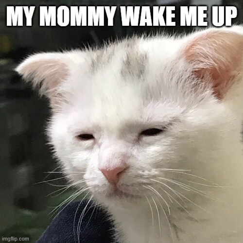 when my mommy wake me up meme