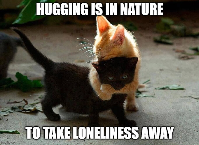 best hugging ever meme