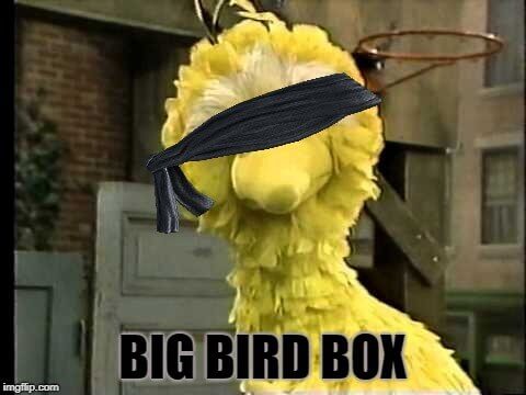 big bird box meme