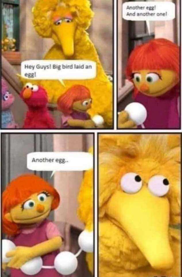 big bird eggs meme