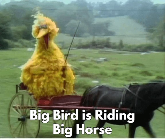 big bird is riding meme