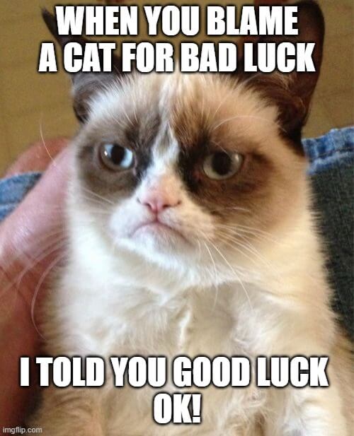 blame cat for bad luck meme