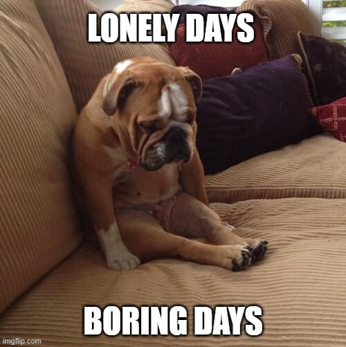 boring days lonely days meme