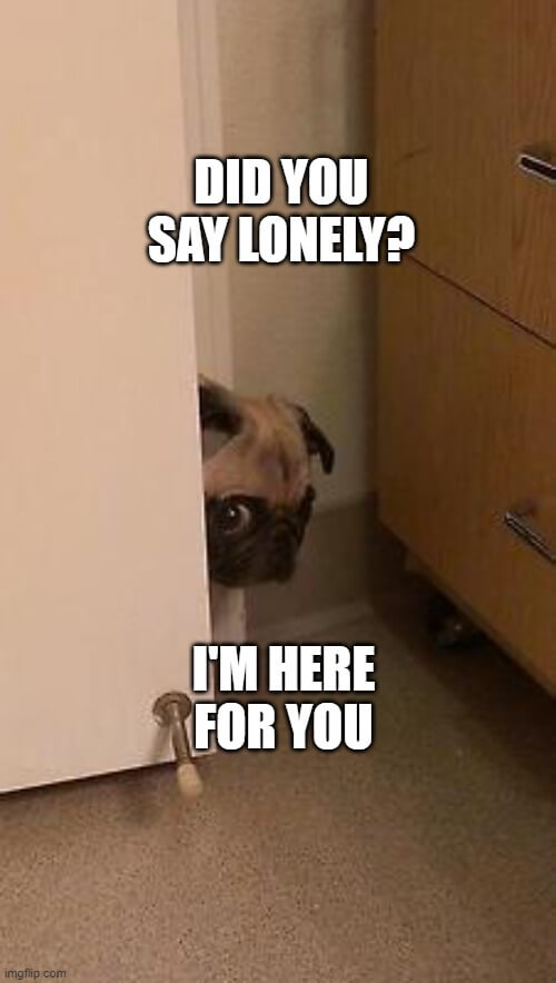 did you say lonely meme