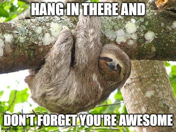 hang in there and don't forget you are awesome meme