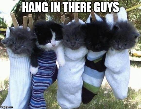 hang in there guys meme