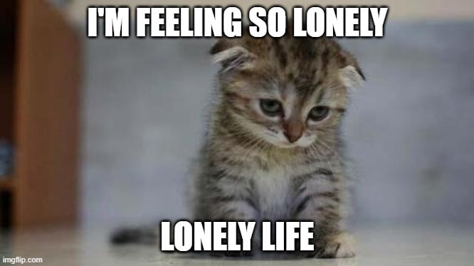 lonely life meme