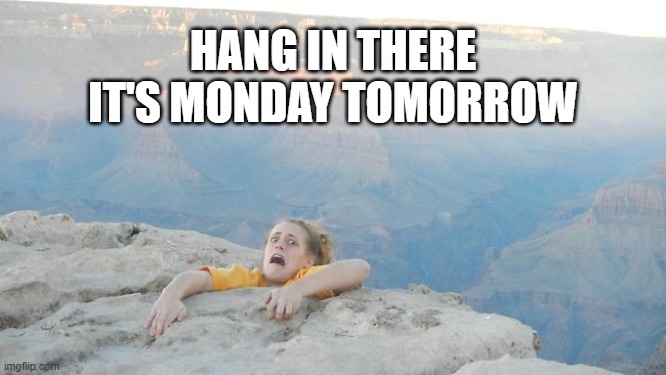 monday meme hang in there meme