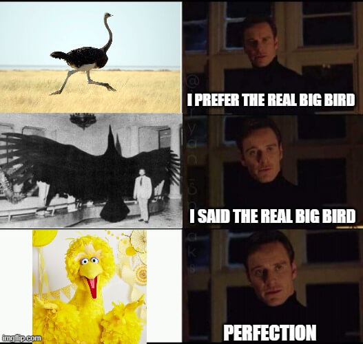 perfect big bird meme