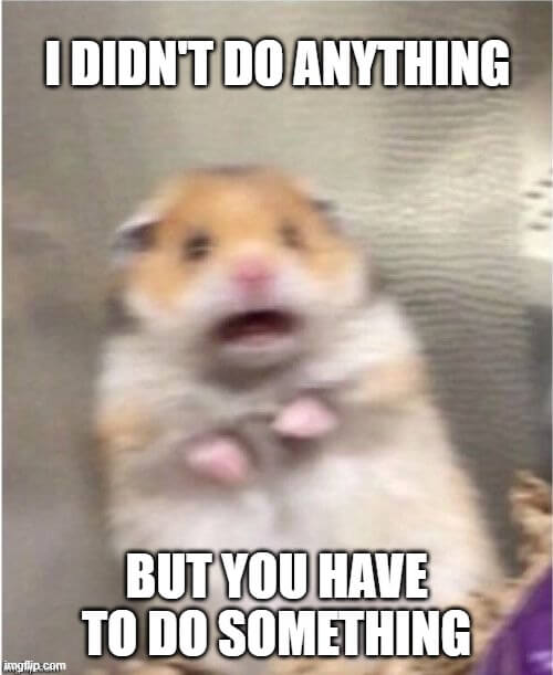 scary hamster do something meme