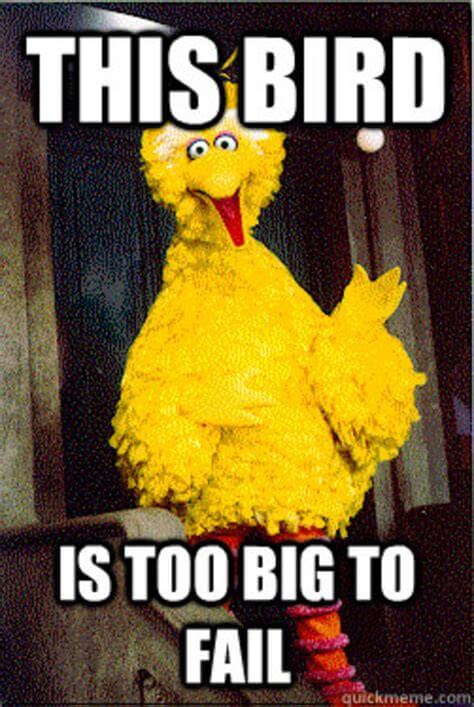 this bird is too big to fail big bird meme