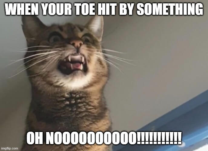 toe hit oh no cat meme