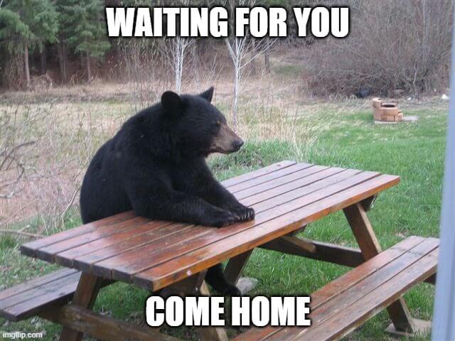 waiting for you come home meme
