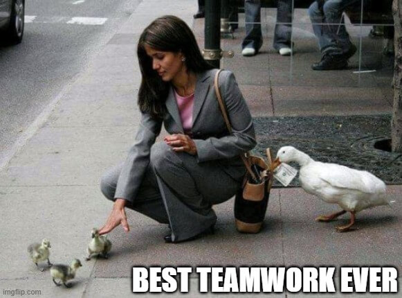 best teamwork ever meme
