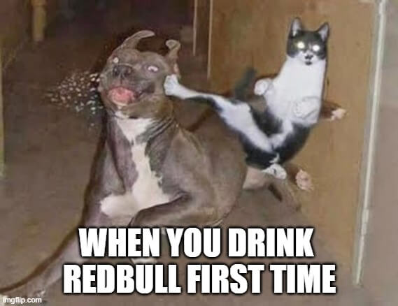 drink redbull first time meme