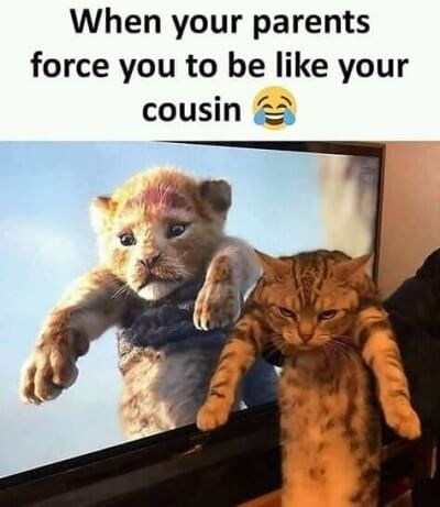 force like be cousin meme
