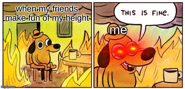 fun of height this is fine dog meme