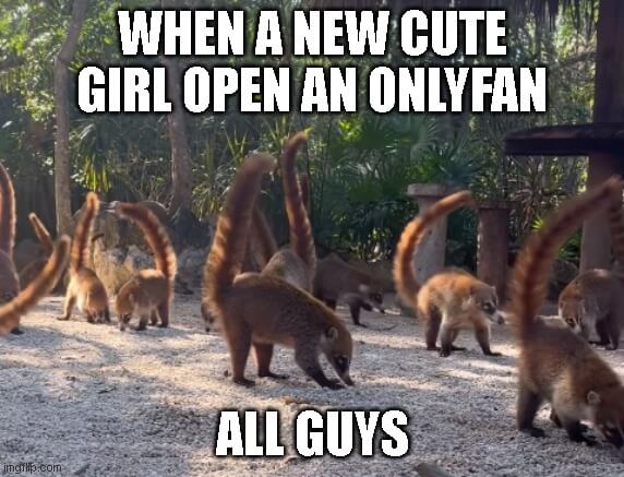 girl open onlyfans meme