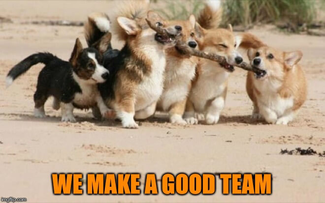 good team work meme