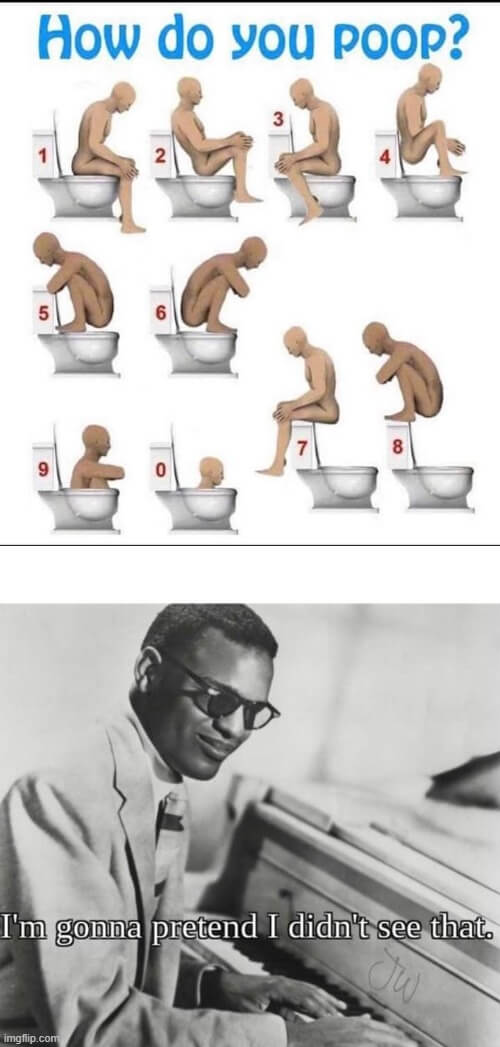 how do you poop poses meme