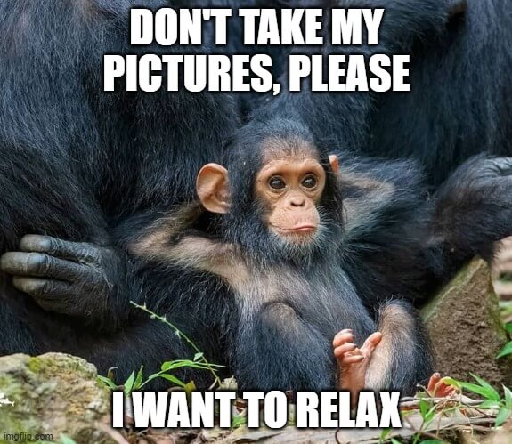 i want to relax meme