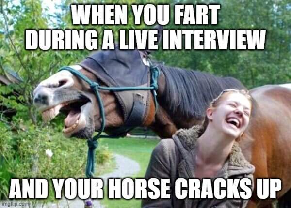 interview horse laughing meme