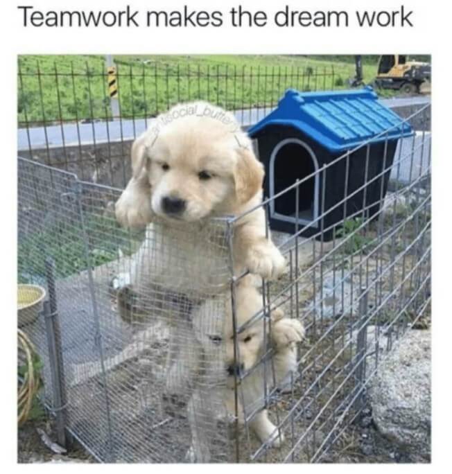 teamwork makes the dream work memes