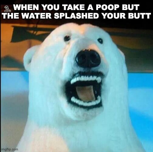 water splashed poop meme