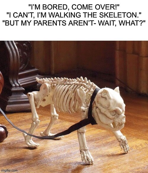 animal skeleton meme