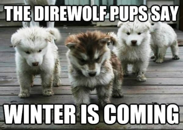 dire wolf winter is coming meme