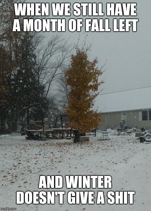 got winter is coming meme