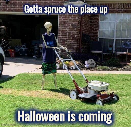 halloween skeleton Meme