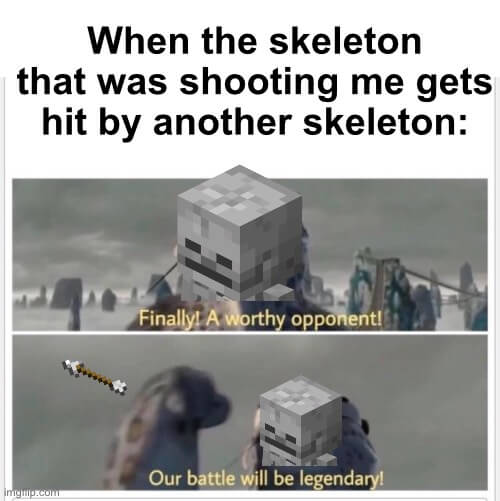 minecraft skeleton meme