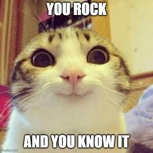 you rock and you know it meme