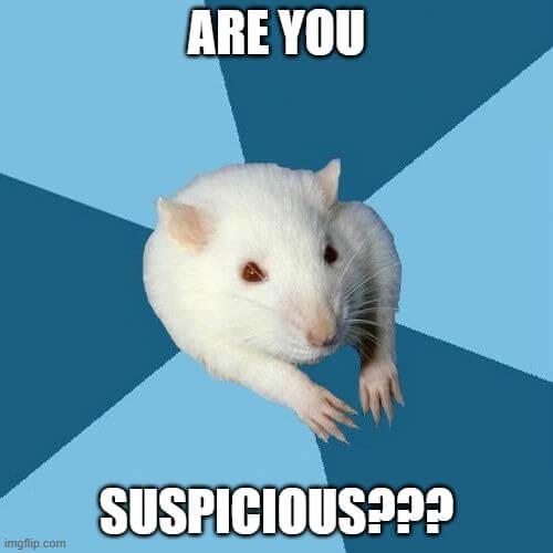are you suspicious meme