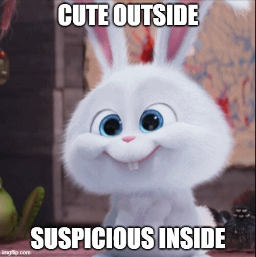 cute outside suspicious meme inside