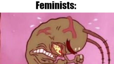 feminists triggered meme