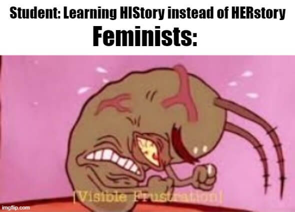 feminists triggered meme