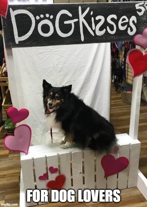 for dog lovers kisses meme