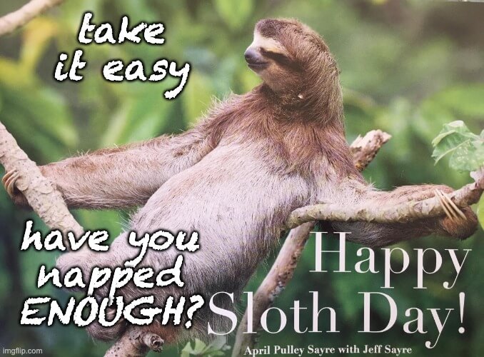 happy sloth day meme