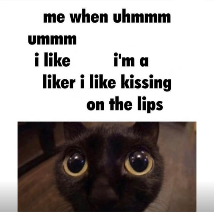 i like kissing on the lips meme